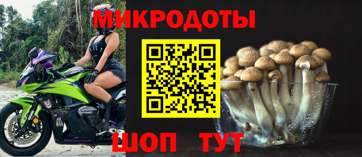 Галлюциногенные грибы ЛСД  Вход с VPN  Сунжа 