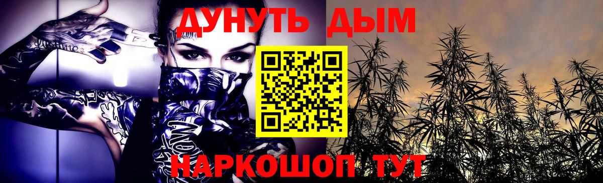 Конопля SATIVA & INDICA Сунжа